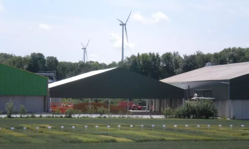 Canopy for storing bulk grain